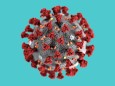 Coronavirus: 3-D-Modell des Virus