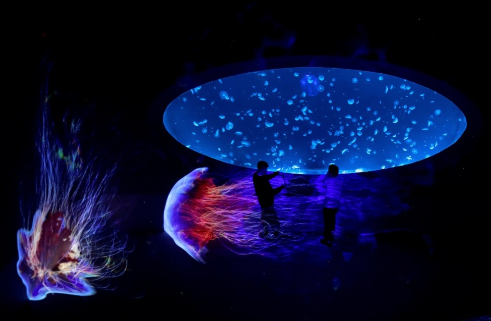 Visitors look at jellyfish swimming in a giant spherical tank