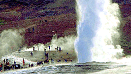 Günstiger reisen: Geysir in Island: Selten war ein Urlaub auf der Pleite-Insel so erschwinglich wie heute.