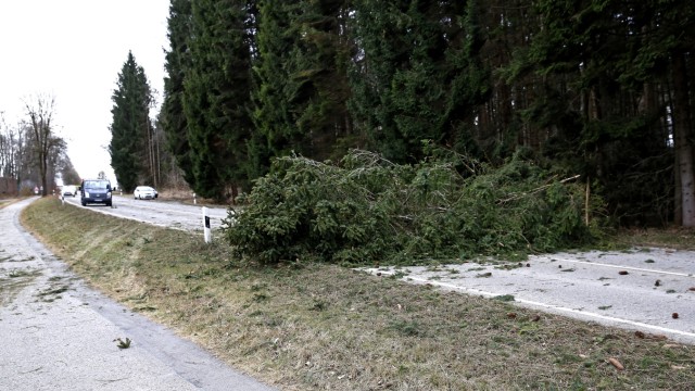 Unwetter in Bayern: Auf der B11 zwischen Dorfen und Icking ging am Montagvormittag nichts mehr, ein umgefallener Baum versperrte den Weg.