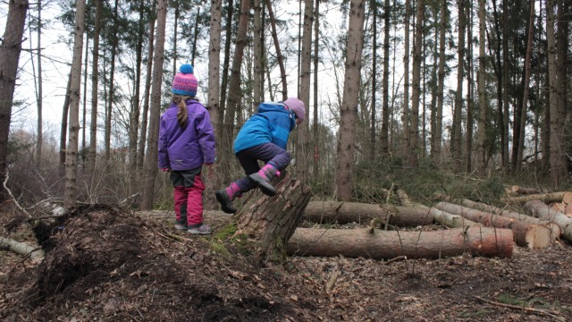 Sturmschäden: Damit die Kinder wieder spielen können, wurde das Gelände des Waldkindergartens in Ismaning geräumt.