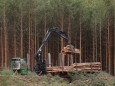 Brandenburg: Waldrodung für neue Tesla-Fabrik in Grünheide