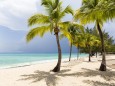 A white sand beach, turquoise sea and palm trees. A white sand beach, turquoise sea and palm trees. PUBLICATIONxINxGERxS