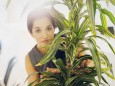 Businesswoman hiding behind plant in office Portrait of businesswoman hiding behind plant in office