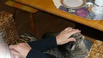 Demenz-WG: Alternative zum Pflegeheim: Bewohnerin mit Katze: Auch Tiere sind in der WG willkommen.