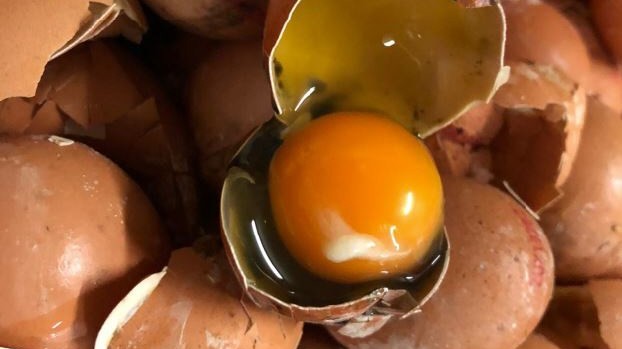 Lebensmittelkontrolle: Verdorbene Eier sollen von Österreich aus in verarbeiteter Form auch nach Bayern gelangt sein.