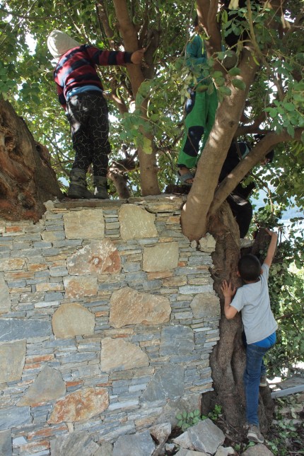 Flüchtlinge: Syrische Kinder auf dem Johannisbrot-Baum auf dem Grundstück von Giannis Meletiou.