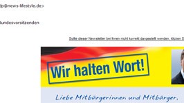 FDP nervt mit Massenmails: Westerwelle als Spammer: So sehen die unerwünschten Werbemails der FDP aus.