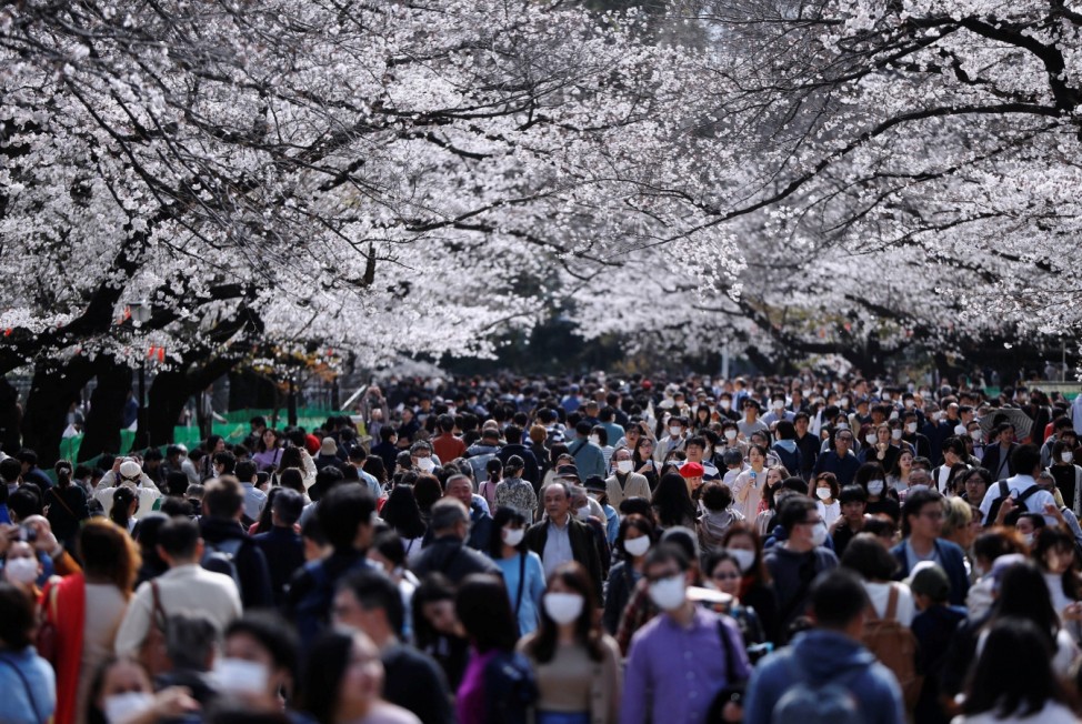 Visitors wearing protective face masks following an outbreak of the coronavirus disease (COVID-19) look at blooming cherry blossoms at Ueno park in Tokyo, Japan