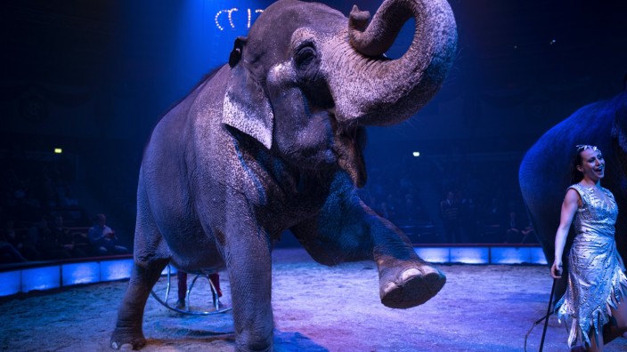 Winterpremiere im Circus Krone in München, 2020