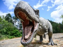 Dinosaurier: Wie „ein altes, vergessenes Gericht“