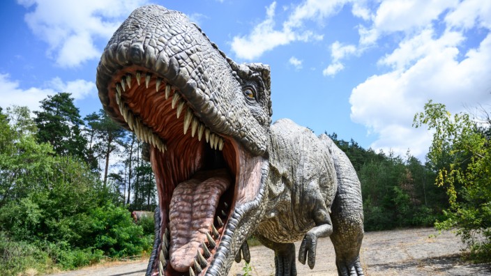 Dinosaurier: Kein Klon, nur ein Modell: Tyrannosaurus-Rex-Raubsaurier im Dinopark Münchehagen in Niedersachsen.