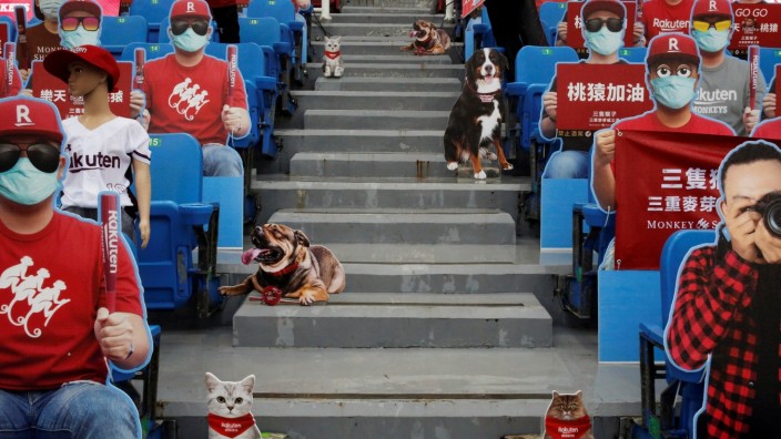 Dummies replaced audience due to the outbreak of the coronavirus disease (COVID-19) at the first professional baseball league game of the season at Taoyuan International baseball stadium in Taoyuan city