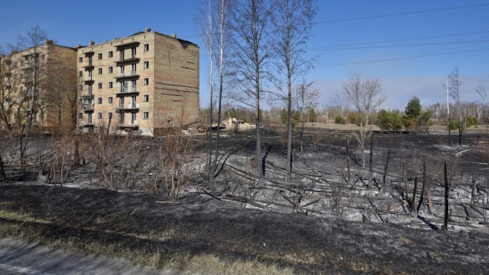 Burned trees are seen in the settlement of Poliske after a forest fire in the exclusion zone around the Chernobyl nuclear power plant