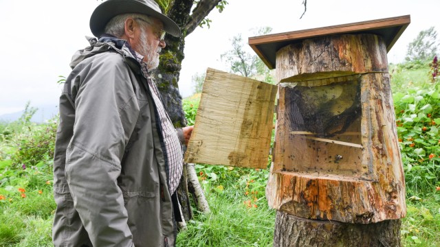 Interview: Das Leben in der Natur geht indes ungebremst weiter. Am Bienenstock im Permakultur-Garten (hier mit Referent Sepp Holzer) wird gerade eine Webcam installiert.