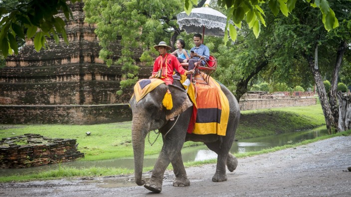 Elephant Ride, Ayuthaya, Thailand Ayuthaya Thailand Copyright: xLucasxVallecillosx LVM-Ta.Ay.Wy.8228