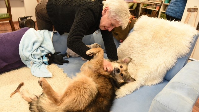 München: Auch Tiere, wie hier Hund Leopold, wissen die Gemütlichkeit zu schätzen. Angelika krauelt ihn unterdessen.