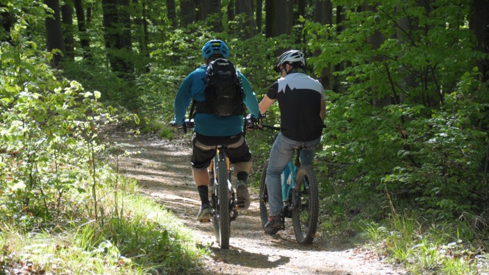 Unfall: Wer mit dem Fahrrad durch den Wald fährt wie auf unserem Symbolbild, darf das nur auf dazu geeigneten Wegen.