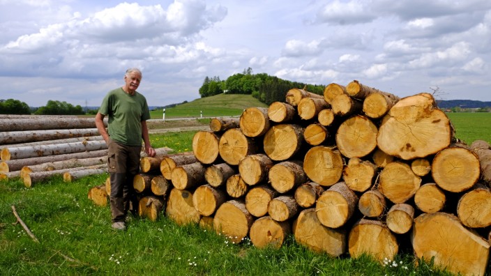 Klima und Borkenkäfer setzen dem Wald zu: Sebastian Thalhammer ist ein erfahrener Forstwirt. Die momentanen Preise bereiten ihm Sorgen.