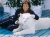 Roy (Siegfried & Roy) mit weißem Tiger 06/91 nou quer ganz kniend lächelnd Mikrophon leger Anzug blau Mann langhaarig d