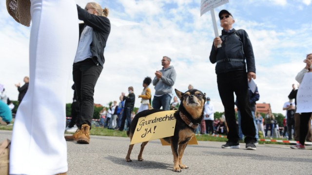 Demonstranten: Im vorgegebenen Abstand zueinander protestierten Mensch und Tier am Samstag auf der Münchner Theresienwiese.