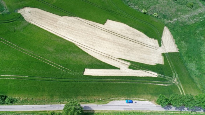 Ungewollte 'Kunst' im Getreidefeld