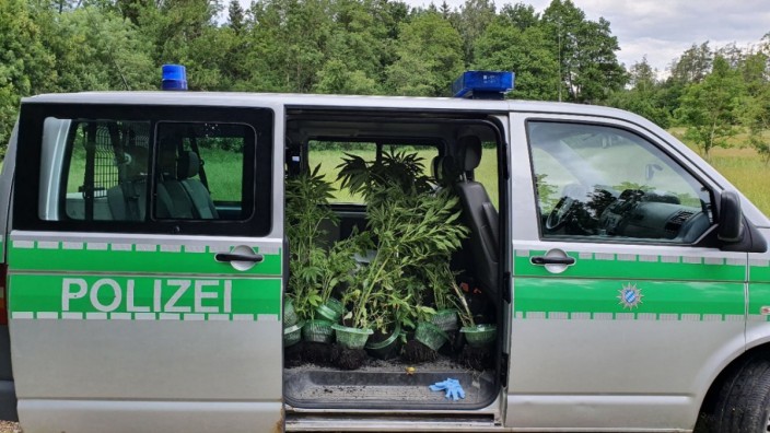 Herrsching Polizeiwagen mit Marihuanapflanzen