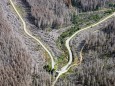 3000 Hektar Nationalpark-Wald von Borkenkäfern befallen
