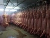 Schlachthof, frisch geschlachtete Schweine hängen in der Reihe an Haken Markthallen München