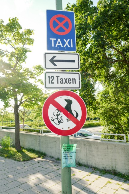 SZ-Serie: Meter für Meter: Der Taxistand vor der Krankenhaus-Pforte: Hunde verboten?