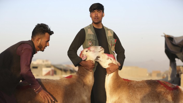 Afghanistan: Händler in Kabul verkaufen zum Opferfest Schafe. Das Fleisch wird häufig an Bedürftige verteilt.