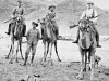 Kamelreiter der Schutztruppe während des Herero-Aufstandes, 1904