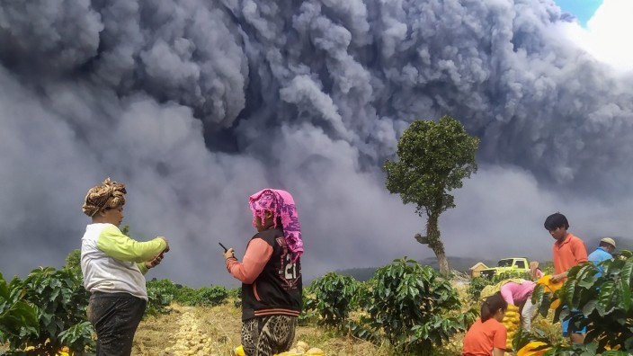Locals harvest their potatoes as Mount Sinabung spews volcanic ash in Karo, North Sumatra province