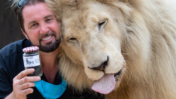 Nach Vorwürfen von Tierschützern überprüft Zirkus Löwen-Kot