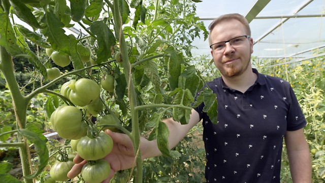 Neubiberger Umweltgarten: Tomatenmann Thorsten Thron wird mit einigen seiner mehr als 800 Sorten beim Nachtmarkt vertreten sein.