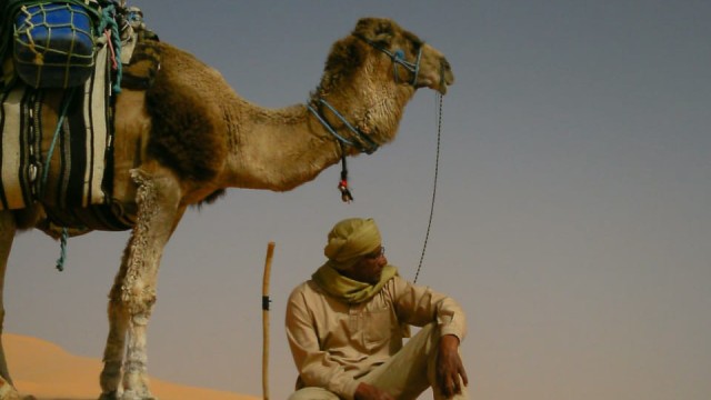 Stopp der Fernreisen: Allein in der Wüste: Mabrouk Benhacen und sein Dromedar Kleiner Prinz warten auf Gäste.