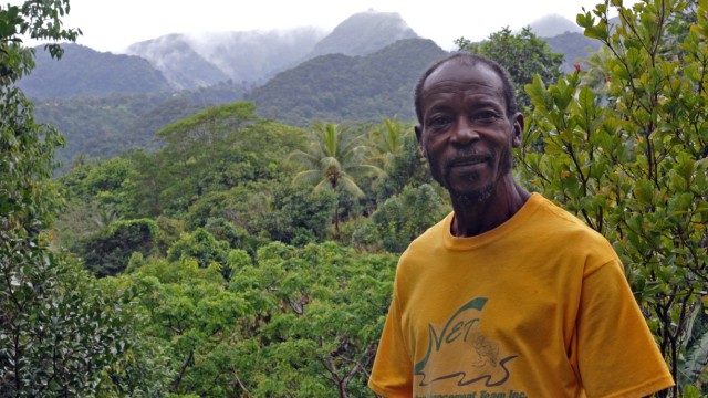 Karibik: Der Öko-Bauer Simon George arrangiert sich erfolgreich mit den Unbilden von Wetter und Klimawandel.