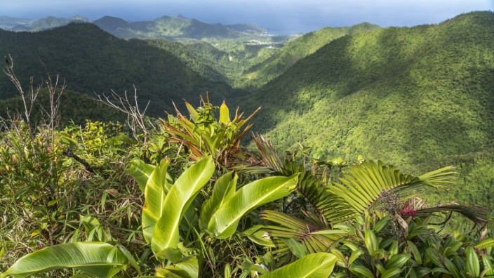 Morne Trois Pitons Nationalpark Landschaft im Morne Trois Pitons Nationalpark und die Ostküste von Dominica, Karibik, Mi