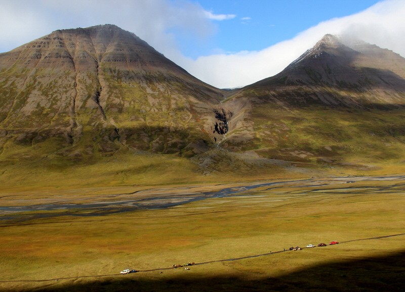 Island Schafabtrieb Schafe Abtrieb Herbst Reise Iceland