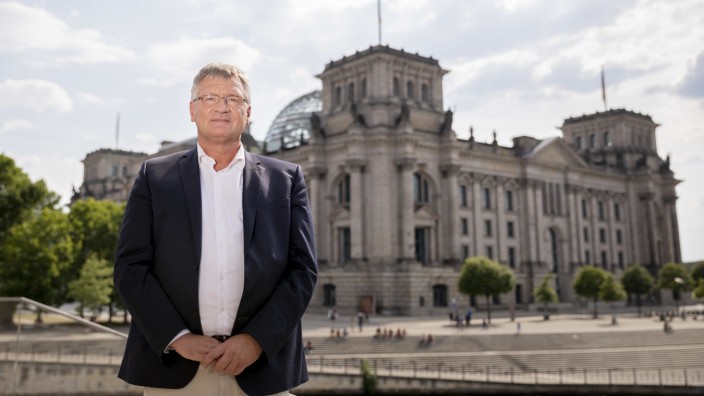 AfD-Parteichef Meuthen will nicht in den Bundestag