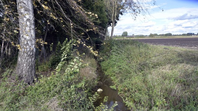 Hochwasserschutz in Erding: Einen Damm plant auch das Wasserwirtschaftsamt beim Moosgraben.
