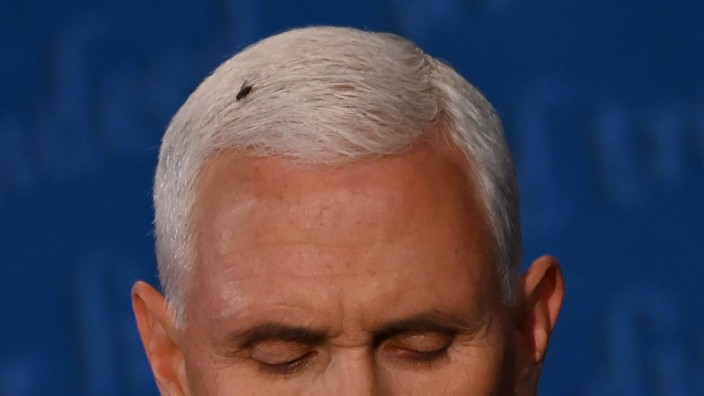 Stilkritik: Fliege: Der Star auf dem Haupt: Während der TV-Debatte der Kandidaten für die Vizepräsidentschaft landete eine Fliege auf dem Kopf von Mike Pence.