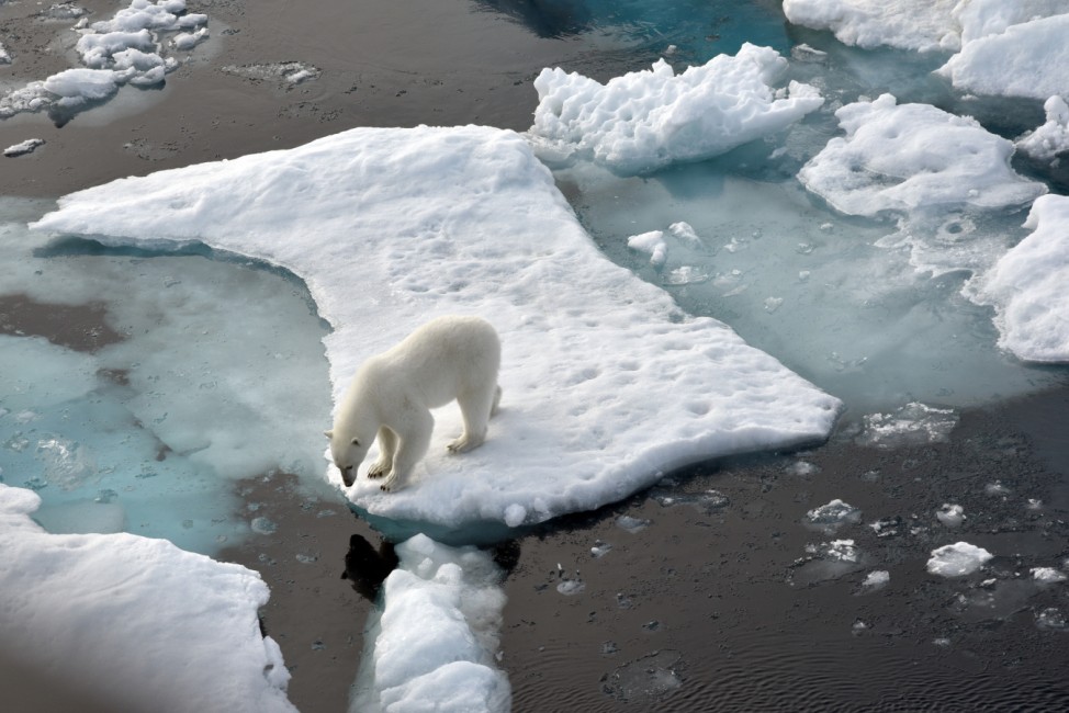 Meereis der Arktis auf zweitkleinste Fläche geschrumpft