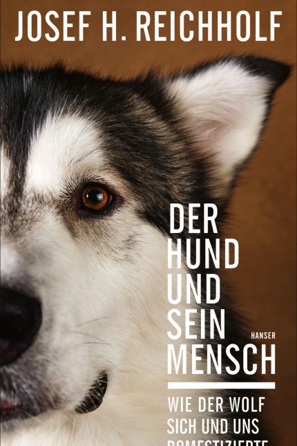 Wer zähmte wen?: Josef H: Reichholf: Der Hund und sein Mensch. Wie der Wolf sich und uns domestizierte. Hanser Verlag, München 2020. 221 Seiten, 22 Euro.