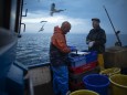 Fishing In The English Channel Off The Coast Of Hastings