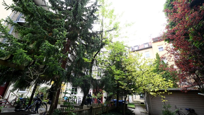 Schwabing: Noch gibt es Bäume an der Apianstraße auch im verwunschenen Innenhof.
