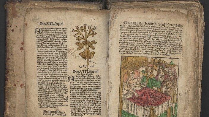 Regensburg: Illustration aus Johann von Kaubs Buch "Garten der Gesundheit" (1507). Zu sehen ist ein Kranker, darüber der Hinweis auf ein Register aller "kranckheyten der menschen vßwendig vnd inwendig des gantzen leybß".