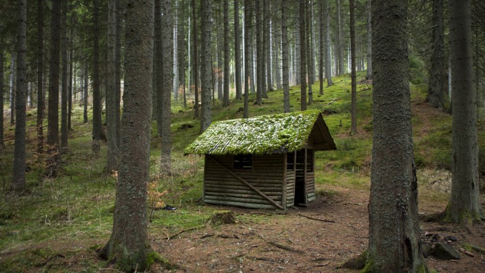Neuer Corona-Lockdown: Nicht Heideggers Hütte in Todtnauberg, aber eine Hütte in einem deutschen Wald.