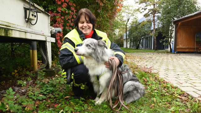 Hundestaffel in Zamdorf: Staffelführerin Carmen Adam bildet mit ihrem Mann Flächen- und Trümmerhunde aus.
