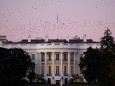 Birds fly over the White House at dusk, the day after a presidential election victory was called for former Vice President Joe Biden, in Washington